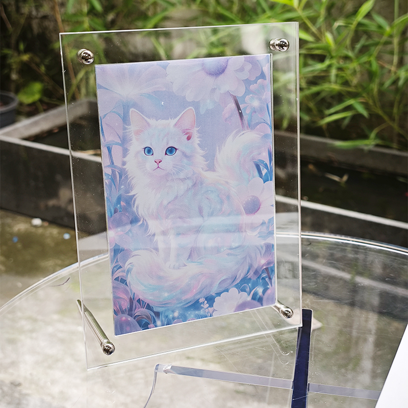 Cadre photo en acrylique trans - Luxury Lifestyle Homes Photos avis et prix
