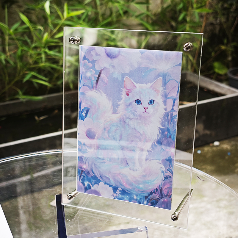 Cadre photo en acrylique trans - Luxury Lifestyle Homes Photos avis et prix